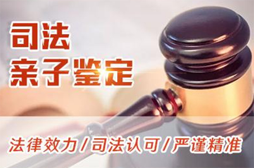 来宾司法DNA鉴定需要如何做,